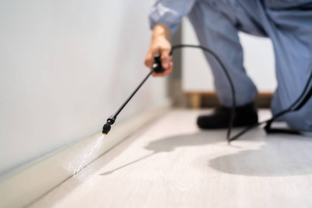 Licensed Pest Control service in Bigfoot, TX - Show Me Pest Control