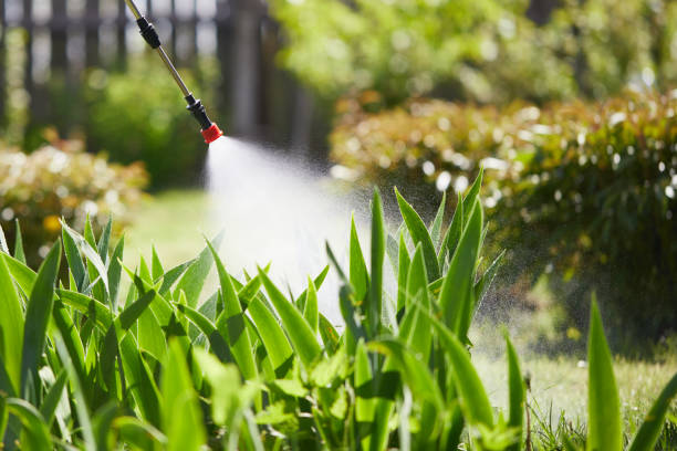 24/7 Emergency Wasp Removal experts in Bigfoot, TX